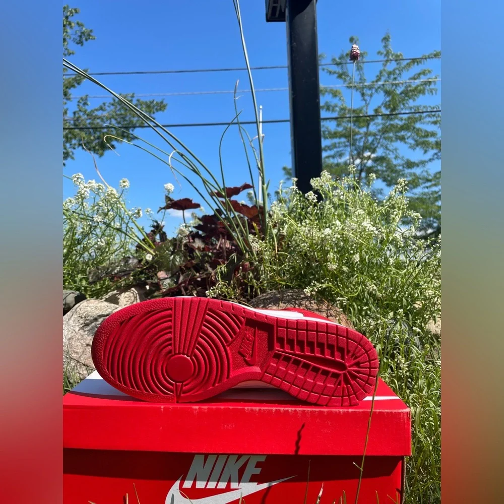 Nike Dunk High Championship Red - Picture 3 of 5